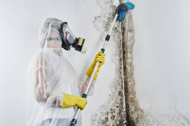 Best Emergency Mold Removal  in Liberty Corner, NJ