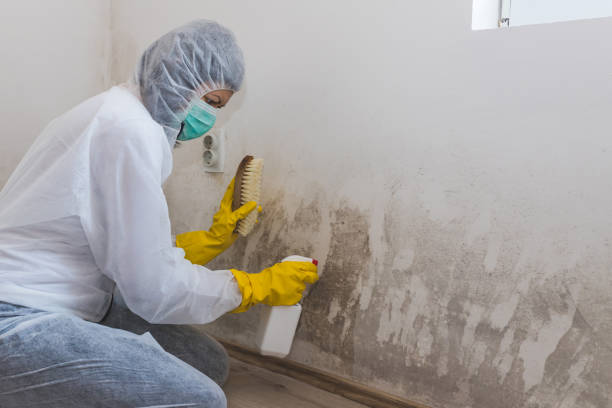 Best Crawl Space Mold Removal  in Liberty Corner, NJ