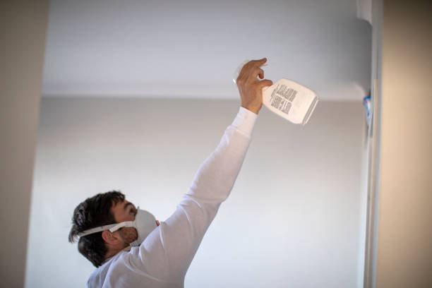 Best Attic Mold Removal  in Liberty Corner, NJ