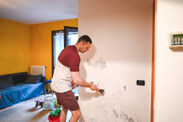 Best Fast Mold Removal  in Liberty Corner, NJ