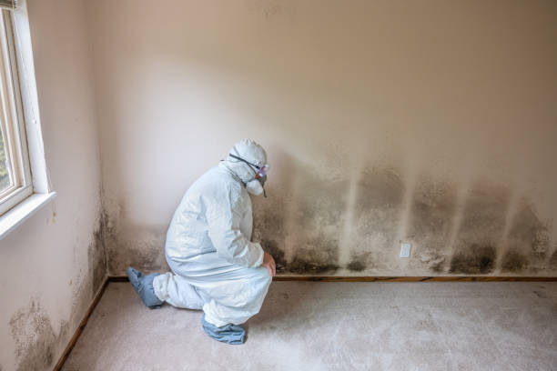 Best Crawl Space Mold Removal  in Liberty Corner, NJ